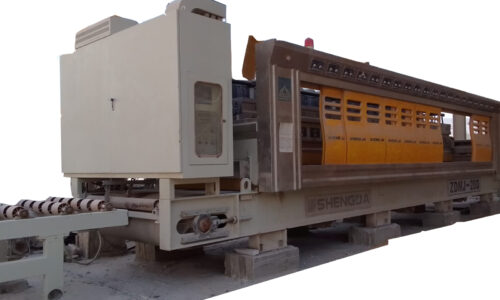 Polishing Machine with 20 Heads