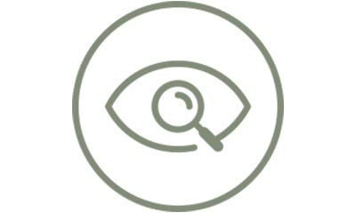 Our Vision