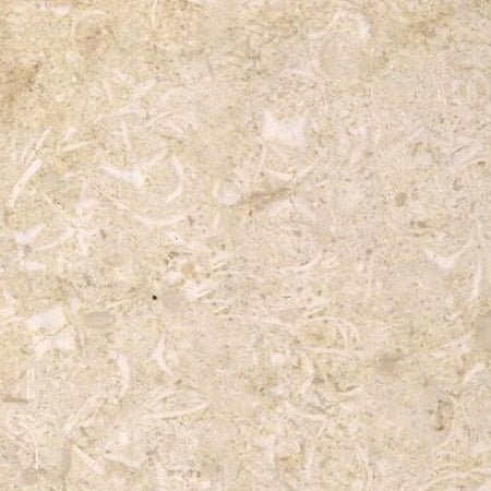 Jerusalem Limestone honed