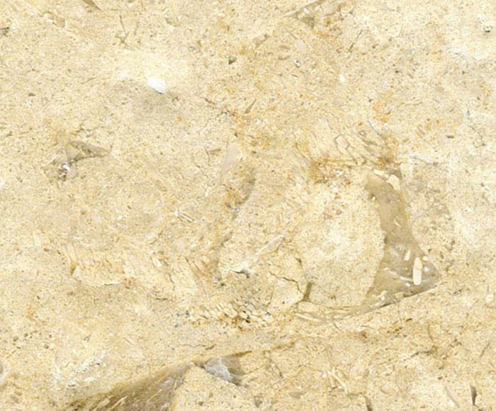 Khatmia Marble