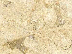 beige-marble